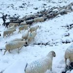 06-_Alpenkurs_2024