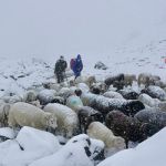 08-_Alpenkurs_2024