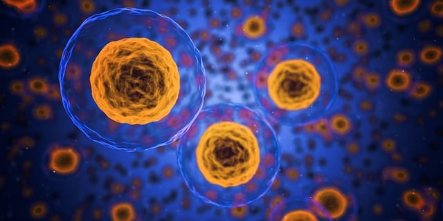 Naturwissenschaft cells 1872666 640