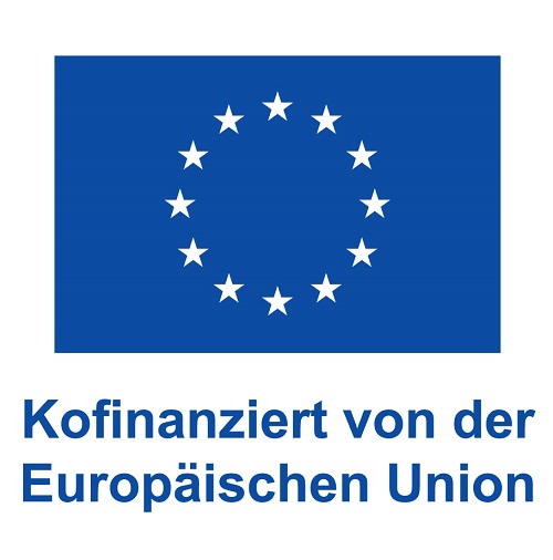 DE V Kofinanziert von der Europaeischen Union Web blau 1